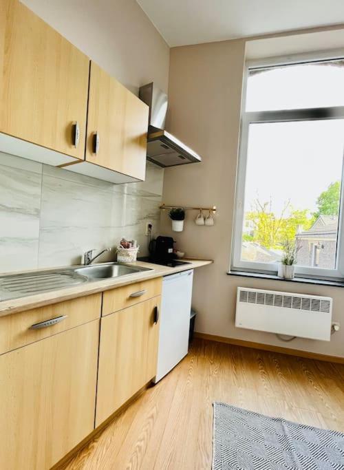 Charmant Petit Appartement. 리에주 외부 사진